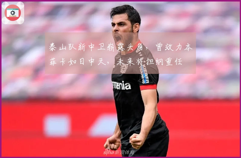 泰山队新中卫崭露头角，曾效力本菲卡如日中天，未来将担纲重任