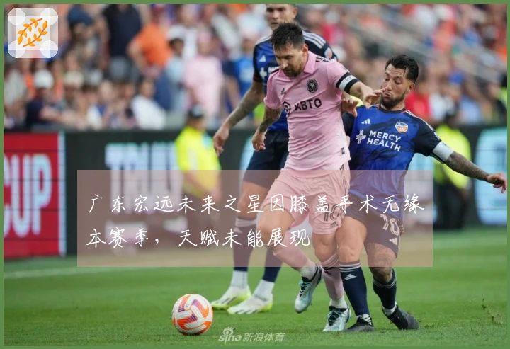 广东宏远未来之星因膝盖手术无缘本赛季，天赋未能展现