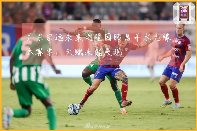 广东宏远未来之星因膝盖手术无缘本赛季，天赋未能展现